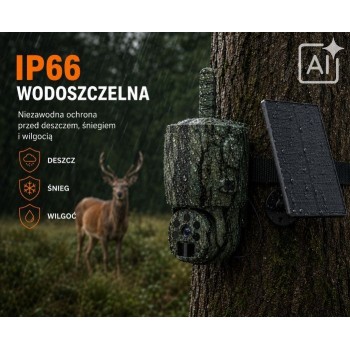 Kamera Obrotowa P6 Live View 4G LTE + Panel Solarny | Fotopułapka z Podglądem Na Żywo | Dzika Knieja