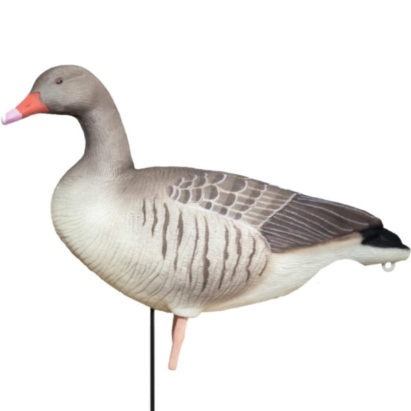 Zestaw 6 Bałwanków Gęsi Gęgawy Greylag Buster